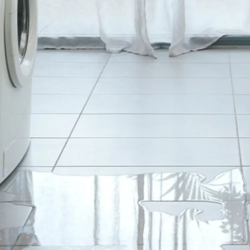 Appliance Leak Cleanup in Woodville, TX