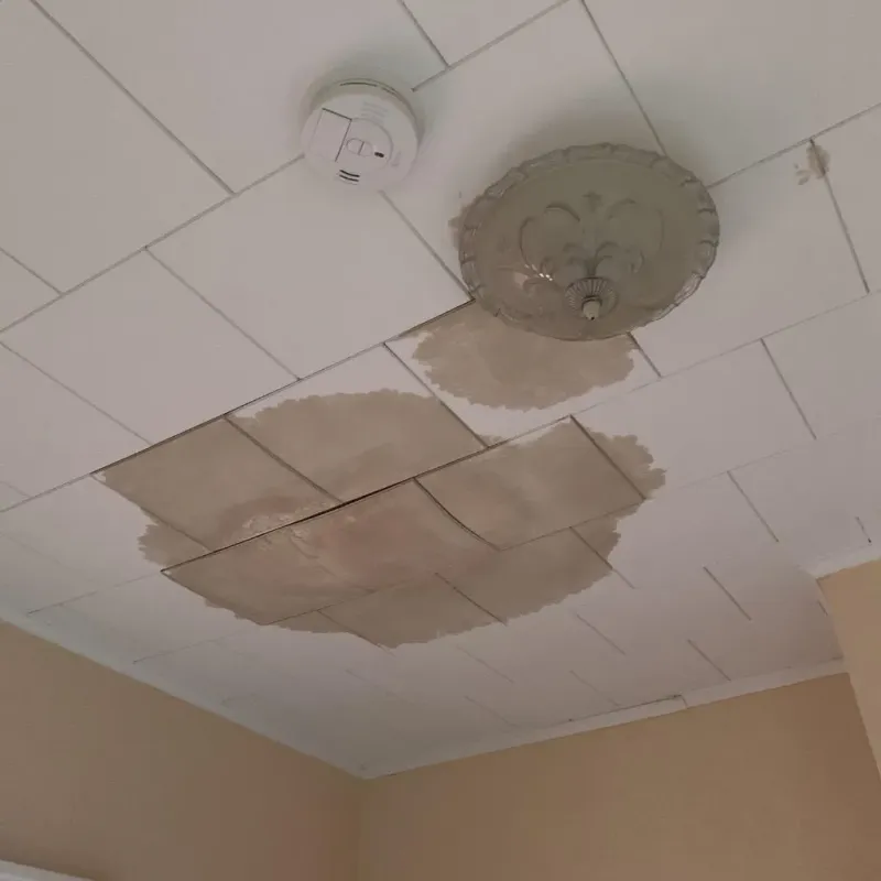 Ceiling Water Damage Repair in Woodville, TX