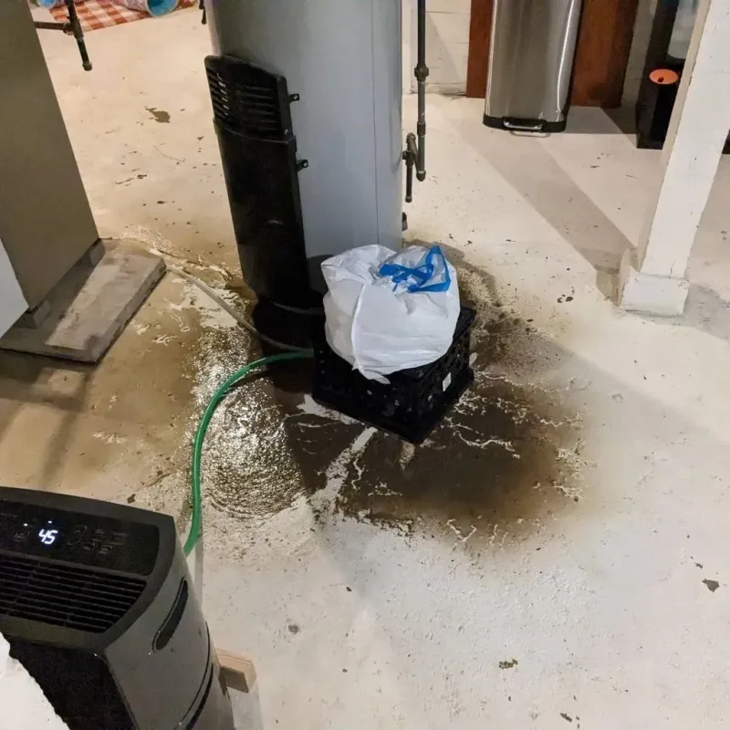 Sewage Backup Cleanup Service in Woodville, TX